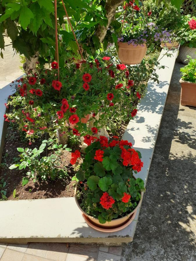 Apartman Danijela Zagorje ภายนอก รูปภาพ
