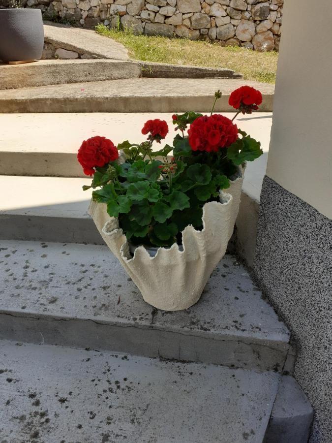 Apartman Danijela Zagorje ภายนอก รูปภาพ