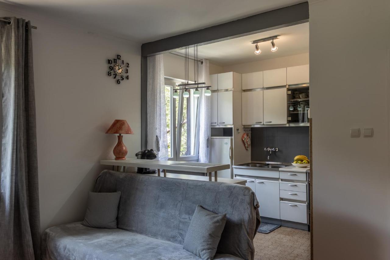 Apartman Danijela Zagorje ภายนอก รูปภาพ