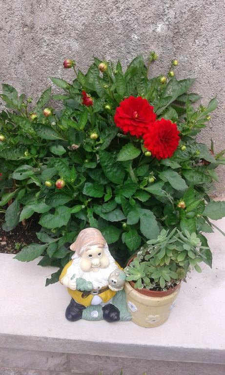 Apartman Danijela Zagorje ภายนอก รูปภาพ