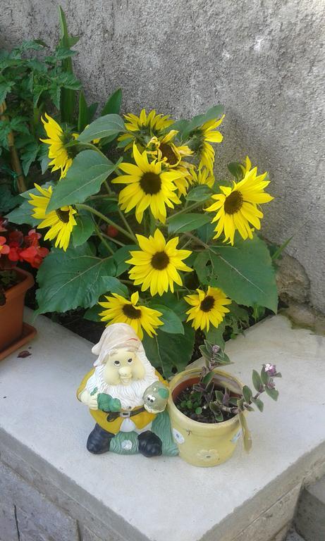 Apartman Danijela Zagorje ภายนอก รูปภาพ