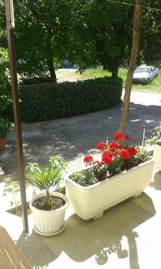 Apartman Danijela Zagorje ภายนอก รูปภาพ