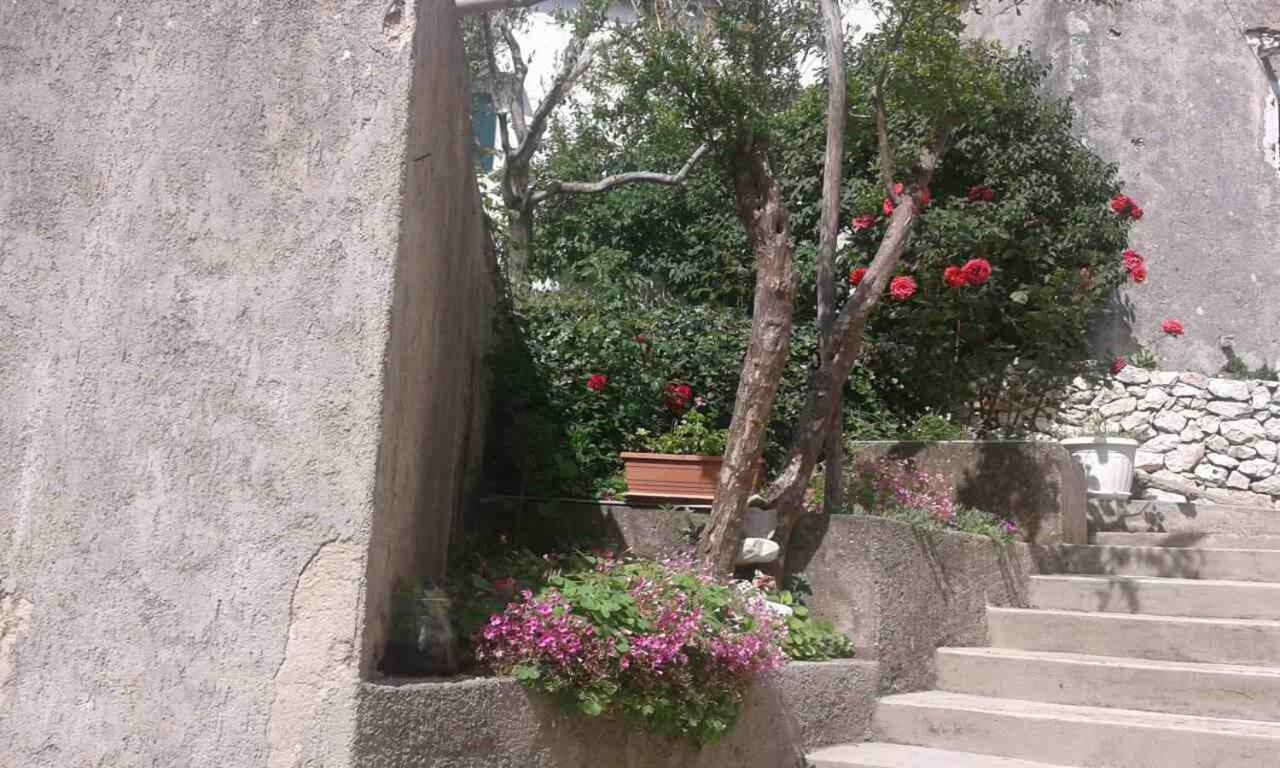 Apartman Danijela Zagorje ภายนอก รูปภาพ