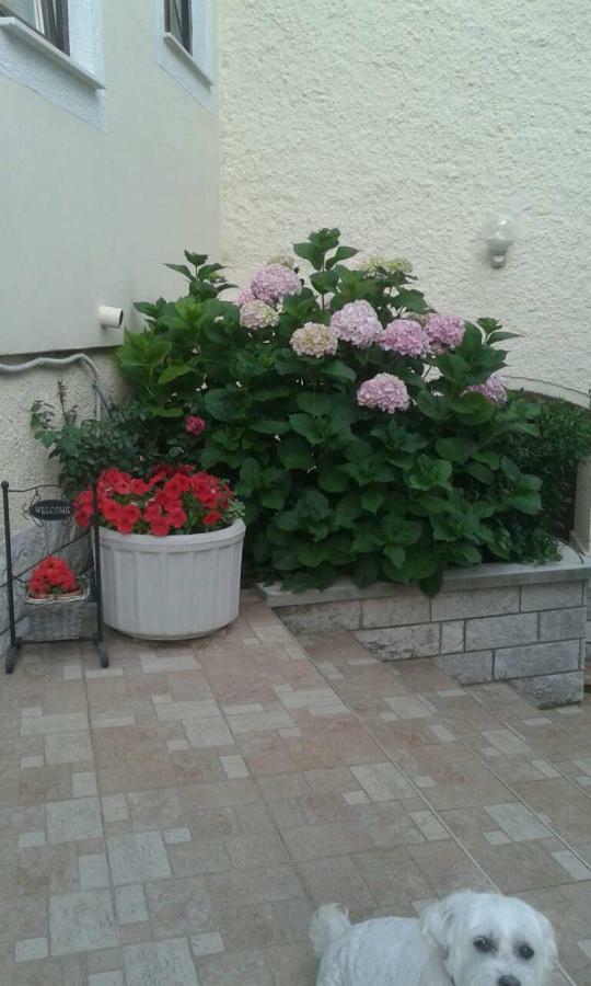 Apartman Danijela Zagorje ภายนอก รูปภาพ